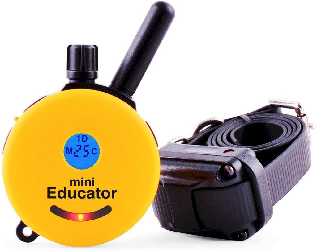 Educator E-Collar