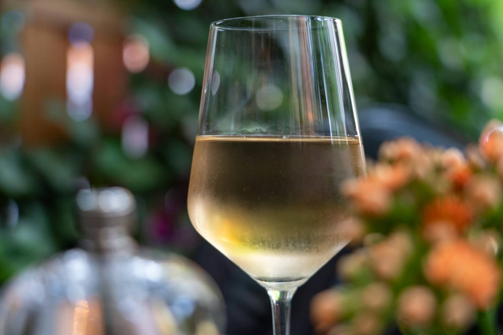 A glass of Sauvignon Blanc